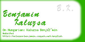 benjamin kaluzsa business card